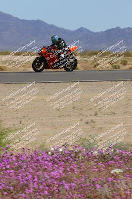 media/Mar-12-2023-SoCal Trackdays (Sun) [[d4c8249724]]/Turn 15 Inside Bloom (130pm)/